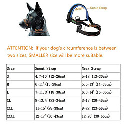Collier pour chien