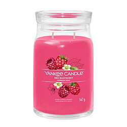 YANKEE CANDLE Bougie signature Framboise rouge grand modèle