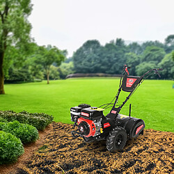 Elem Garden Technic Rotovateur 212cc largeur de travail 50cm pas cher