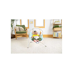 BRIGHT STARTS Disney Baby Winnie the Pooh - Mint/Striped