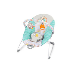 BRIGHT STARTS Disney Baby Winnie the Pooh - Mint/Striped