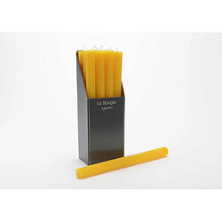 Amadeus Bougie flambeau 25 cm flambeau (lot de 12)