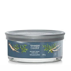 YANKEE CANDLE Bougie signature cèdre marin 5 mèches
