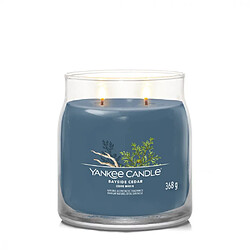 YANKEE CANDLE Bougie signature cèdre marin modèle moyen