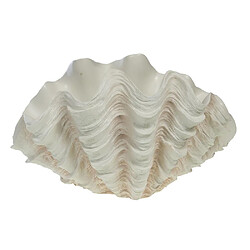 Amadeus Coupe Coquillage Benitier XXL