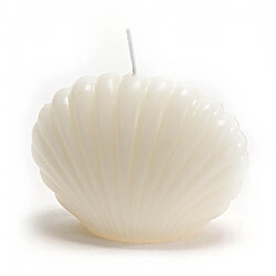 Amadeus Bougie coquillage crème (lot de 8)