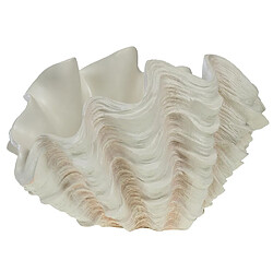 Amadeus Coupe Coquillage Benitier XXL