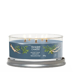 YANKEE CANDLE Bougie signature cèdre marin 5 mèches