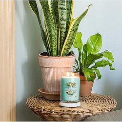 YANKEE CANDLE Bougie signature Aloe et Agave grand modèle