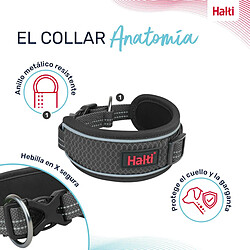 Collier pour chien