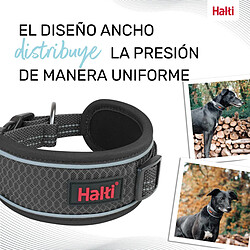 Avis Collier pour Chien Company of Animals Gris