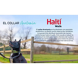 Avis Collier pour Chien Company of Animals Turquoise
