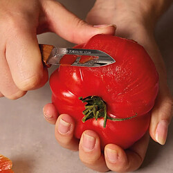 Nogent Eplucheur Expert 1 tranchant