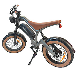 Acheter Vélo électrique DYU M20 20" Moteur 1000W Suspension intégrale 48V 18.2AH