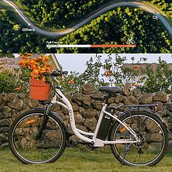 DYU C6 Vélo électrique Moteur 500W 36V 12.5AH 26"