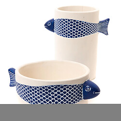 Avis Amadeus Coupe poisson bleu