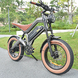 Avis Vélo électrique DYU M20 20" Moteur 1000W Suspension intégrale 48V 18.2AH