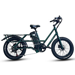 Vélo électrique Lamiter K750 20" Moteur 750W 48V 20.8AH Vert