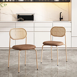 modfu Lot de 2 chaises de salle à manger en rotin naturel avec pieds en métal marron
