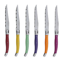Jean Dubost Coffret 6 couteaux laguiole irise assortis