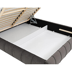 Acheter Bestmobilier Elsa - lit coffre - 180x200 cm - en velours - sommier inclus