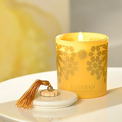 Esteban Bougie décorative parfumée rechargeable ambre 170 g