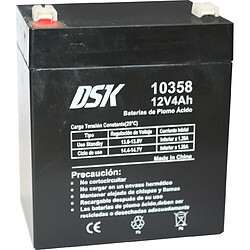 DSK - Batterie AGM plomb-acide rechargeable 12V 4Ah