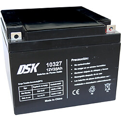 DSK - Batterie AGM plomb-acide rechargeable 12V 28Ah