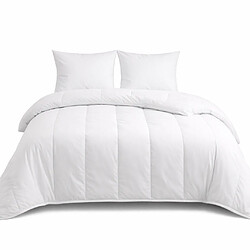 Mortreux Couette Blanche Anti-moustiques et Anti-punaises de lit - Tempérée 240x260 - 14924