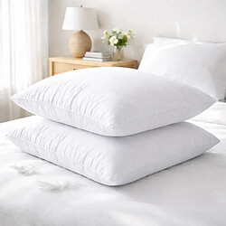 Mortreux Lot de 2 oreillers blancs anti-moustiques et anti-punaises de lit - Moelleux 65x65 - 37190