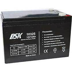 DSK - Batterie AGM plomb-acide scellée rechargeable VRLA 12V 12Ah