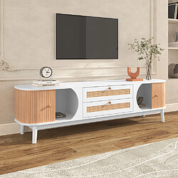 Pugsdrly Meuble TV 170 L x 39,5 P x46 H cm, Scandinave