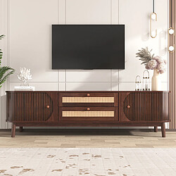 Pugsdrly Meuble TV 170 L x 39,5 P x46 H cm, Scandinave