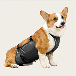 Vêtement pour chien