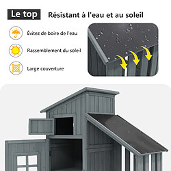 Acheter DZMDIP Armoire de jardin pour outils - Dimensions 124x46x174 cm - Convient aux petits jardins