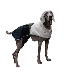 Vêtement pour chien INF