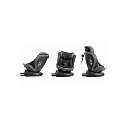 Acheter BABYAUTO Rodia Plus - Stone Grey - 40–150 cm