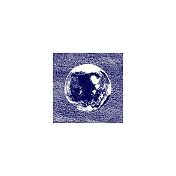 L'autre Bermud - Oceans On The Moon - LP 2025 - Alternative Rock