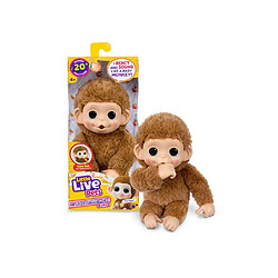 Little Live Pets Mini Caramel Baby Monkey - Caramel