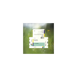 Spiritualized - Everything Was Beautiful - Vinyle 33T - Édition limitée FR