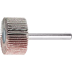 PFERD F 3015 6 A120 - Ø30×15 mm - Tige 6 mm