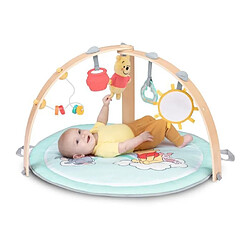 Bright Starts Winnie the Pooh Tapis d'éveil rond réversible - Turquoise pas cher