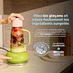 Avis NINJA BlendBoss Mixeur - DB351EUST - 1200 W - 760 ml - Sans BPA - Minéral · Reconditionné
