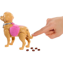 Barbie Famille & Amis Promenade & Potty Ensemble de Jeu avec Poupée et Accessoires pas cher