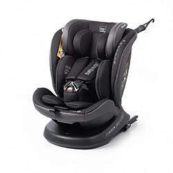 BABYAUTO Rodia Plus - Stone Grey - 40–150 cm