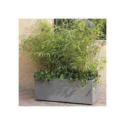 DEROMA Millennium - Bac rectangulaire 97 L - Marron - Réservoir d'eau et roulettes