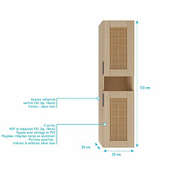 Acheter Aurlane Meuble colonne salle de bain