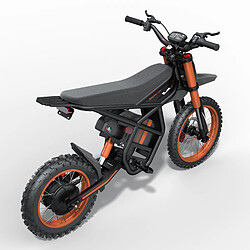 Vélo Électrique RidingTime GT54 2000W,48V/27Ah,Autonomie 100km,Vitesse 65km/h, Tout-Terrain