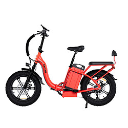 Acheter Vélo Électrique Pliable Rattan LF Ultra 48V 1000W Batterie 40.5Ah Autonomie 200km 20×4.0