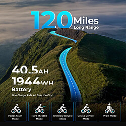 Vélo Électrique Pliable Rattan LF Ultra 48V 1000W Batterie 40.5Ah Autonomie 200km 20×4.0 pas cher